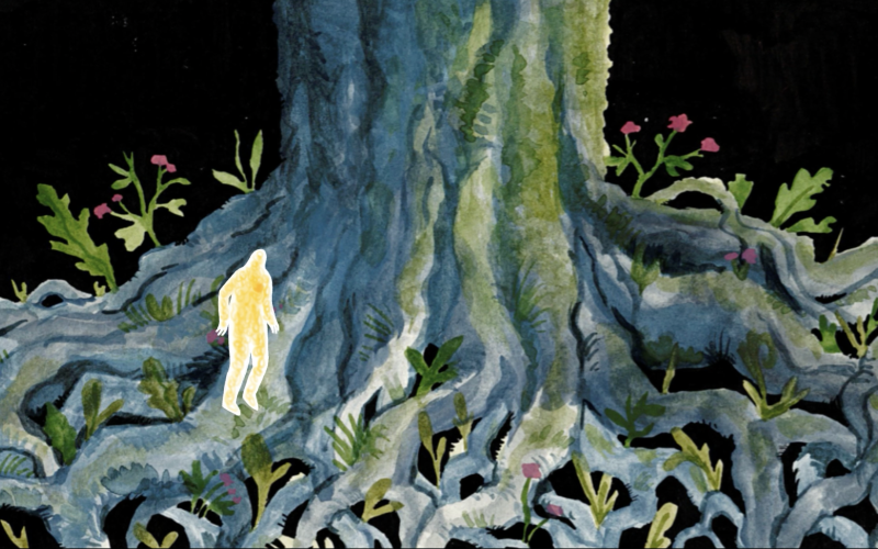 2 films sélectionnés