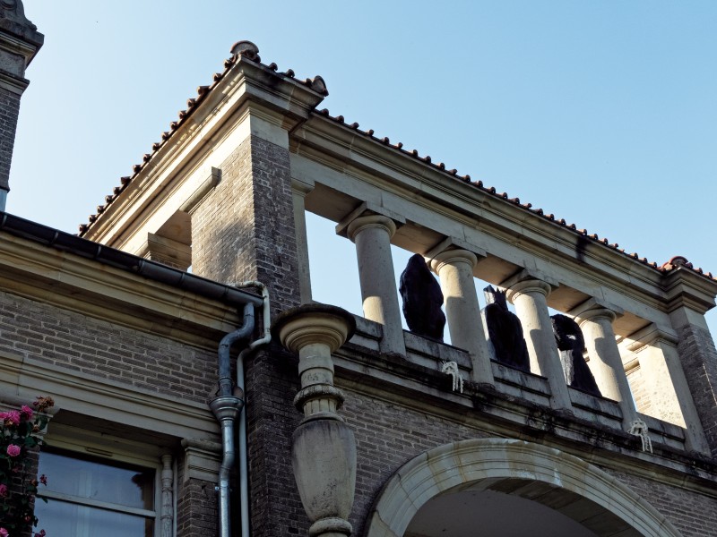 Noé Bendelac<strong><em> © </em></strong>Judith Cattan, 2025