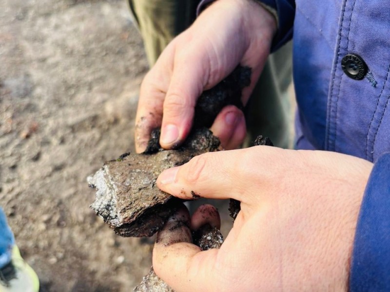 Résidence sur le territoire du Bridderhaus, novembre 2025, © Bridderhaus