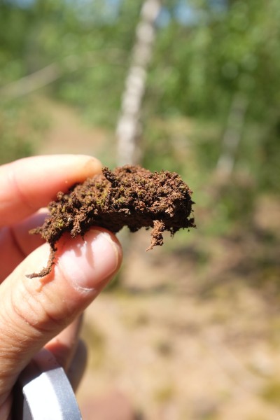 Résidence sur le territoire du Bridderhaus, novembre 2025, © François Génot