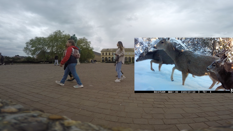 Epié, 3’, Alix Pierson / ÉSAL