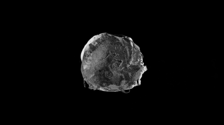 Estampille © Juliette Herr, option Art, Metz, ÉSAL